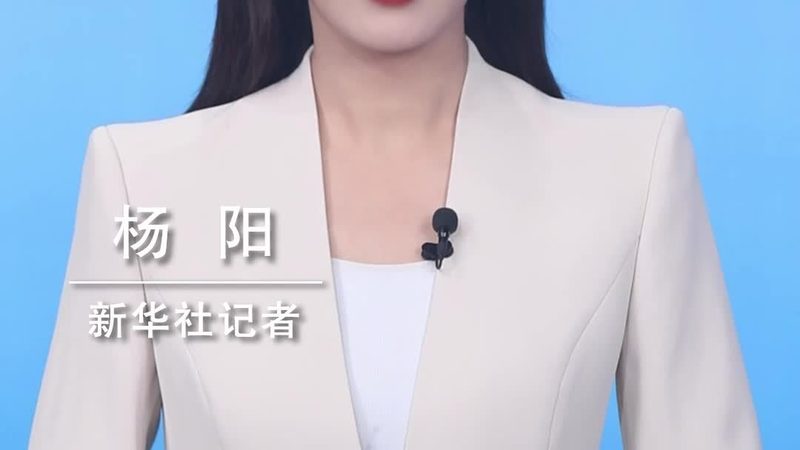 微服务架构下的测试策略：关键要素与实施路径**